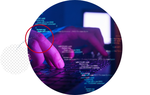 Investment scams and fraud